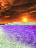 pic for beach  120x160